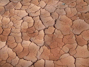 Full frame shot of cracked land