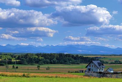 Scenic view of agricultural field against sky