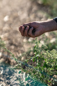 Cropped hand of man farming at farm