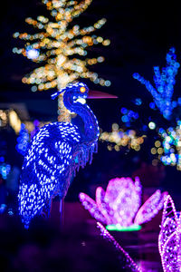 christmas lights