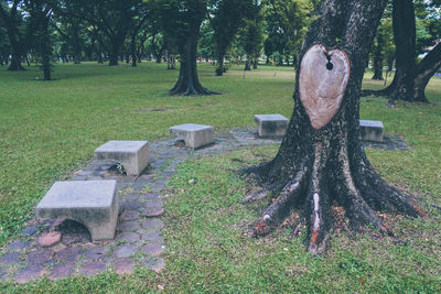 View of trees in park