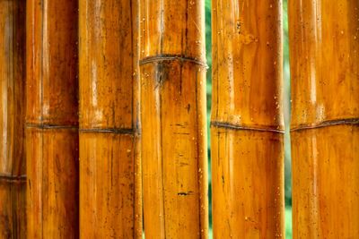 Full frame shot of beer glass