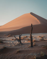 Scenic view of desert against sky during sunset