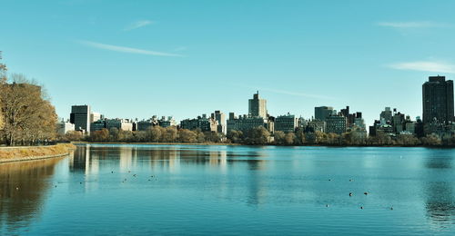 New york's view from central park