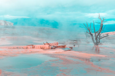 Scenic view of beach against sky during winter