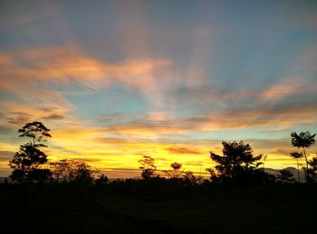 Silhouette trees on landscape against sky at sunset