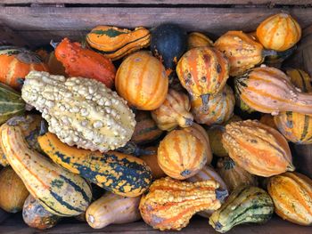 High angle view of pumpkins in market