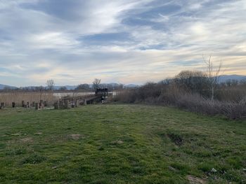 Scenic view of field against sky