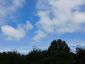 Low angle view of trees against sky