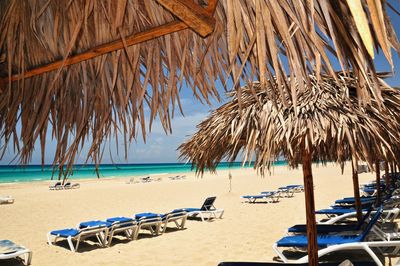 Palm trees on beach