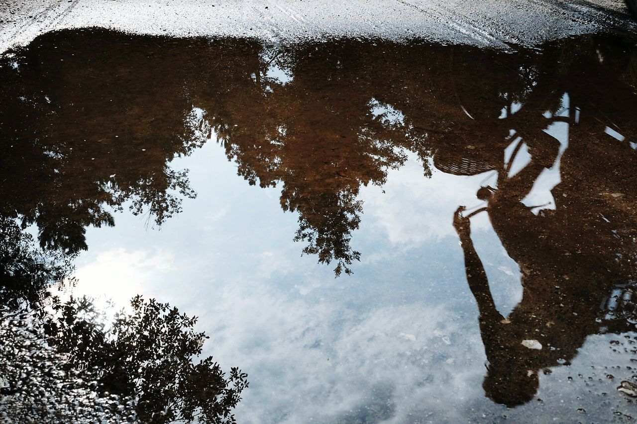 REFLECTION OF TREES IN PUDDLE ON STREET