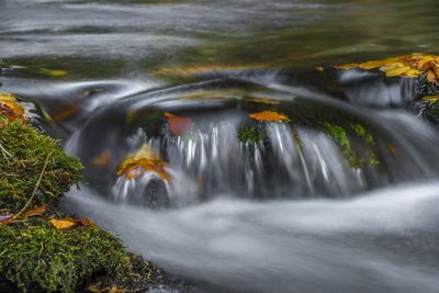 Blurred motion of waterfall in forest