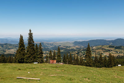 Scenic view of field against clear sky