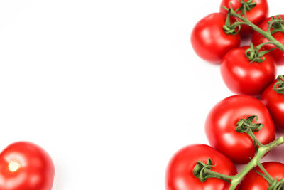 Close-up of tomatoes against white background