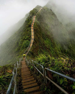 Footpath leading towards mountains