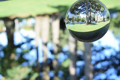 Close-up of reflection on water