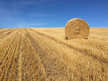 Hay bales in wheat field against blue sky