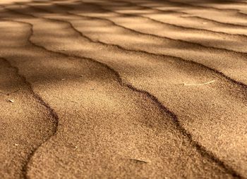 Full frame shot of sand dune