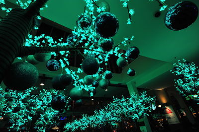 Low angle view of illuminated christmas lights