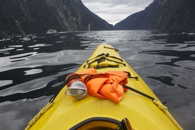 Close-up of yellow and lake against sky