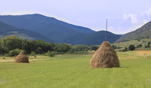 Hay bales on field against sky