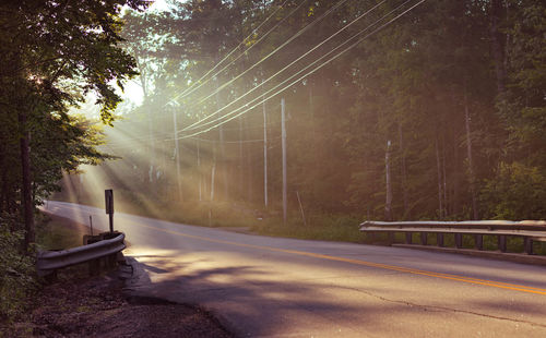 Car on road by trees in forest