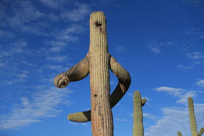 Low angle view of cross on wooden post against sky, sahuaro, cactus, cardones echinopsis atacamensis