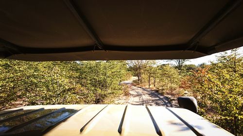 Sunset seen through train window