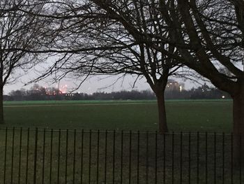 Bare trees in park against sky