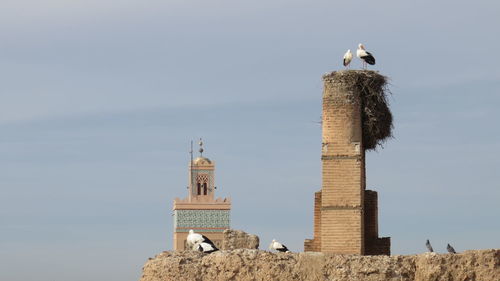 Birds perching on built structure with mosque in background against sky