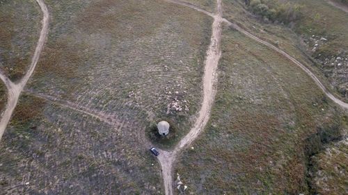 High angle view of lizard on landscape