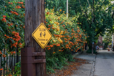Information sign on road by trees during autumn