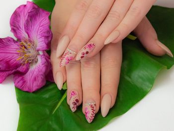 Cropped hands of woman with pink nail polish on leaf