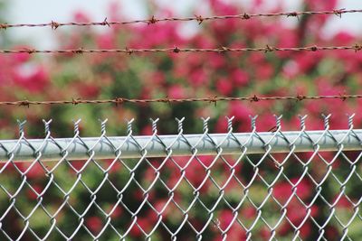 Detail shot of fence against blurred plants