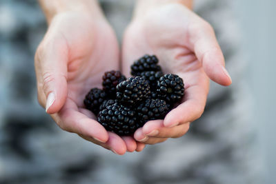 Close-up of hand holding berries