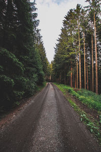 Road amidst trees in forest against sky