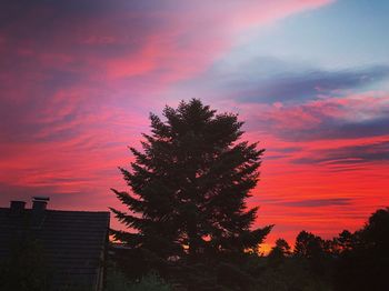 Low angle view of silhouette tree against sky during sunset