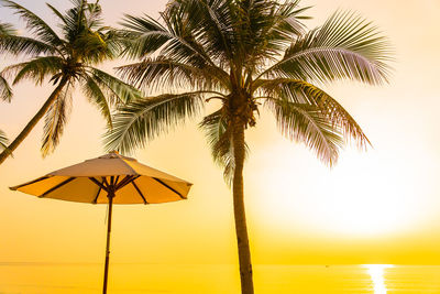 Palm tree by swimming pool against sky during sunset