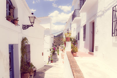 Narrow alley amidst buildings in city