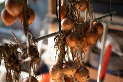 Close-up of fruits for sale at market stall