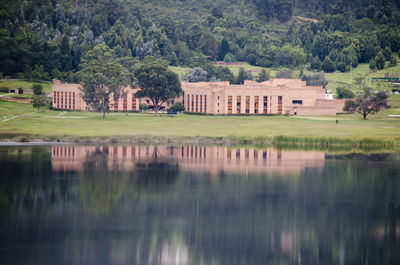 Reflection of trees in lake