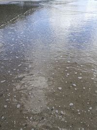 Wet shore at beach