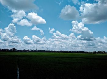 Scenic view of agricultural field against sky