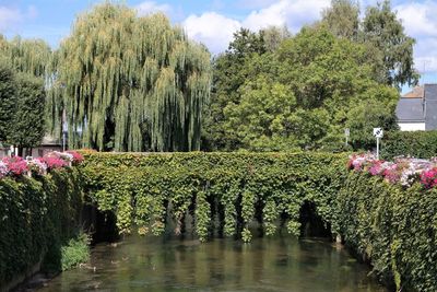 Scenic view of lake in park against sky