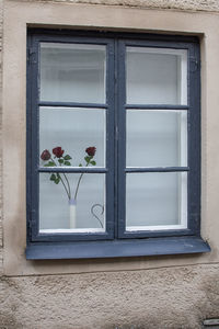 Potted plant on window sill of building