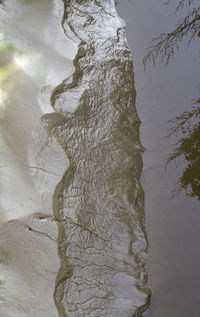 High angle view of rock by lake