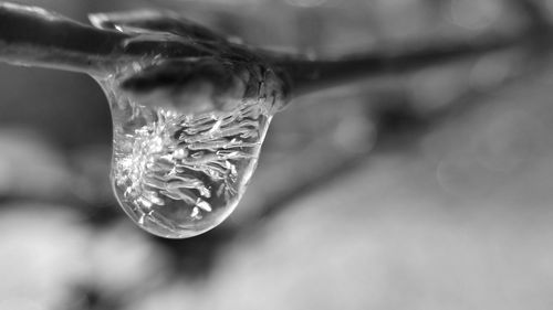 Close-up of water drop