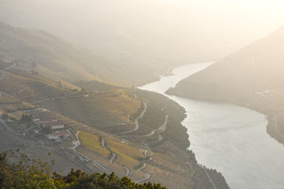 Vineyards in the douro river, alto douro wine valley