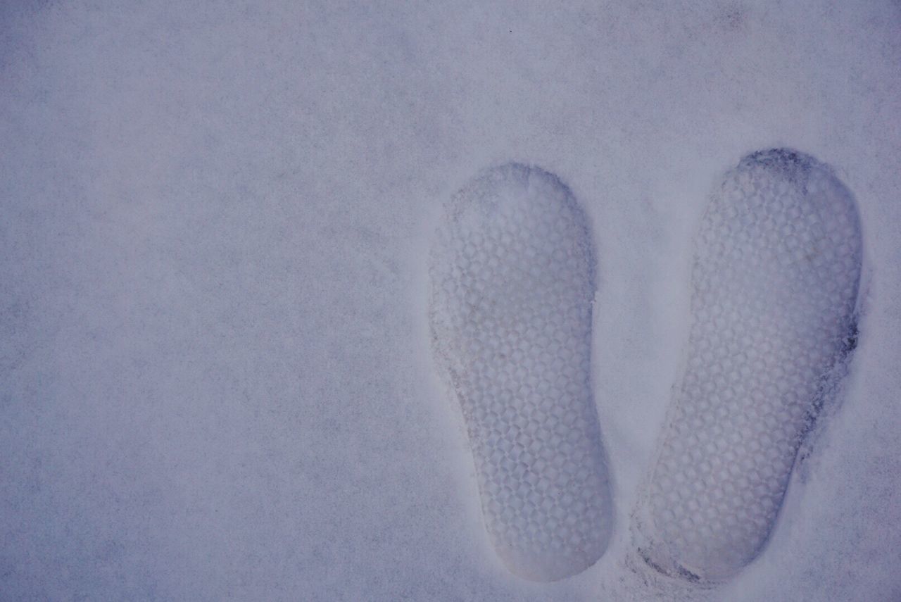 high angle view, white color, animal themes, one animal, winter, close-up, cold temperature, nature, snow, day, covering, relaxation, outdoors, no people, field, pattern, sunlight, full frame