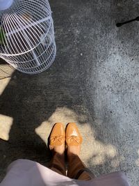 Low section of woman standing on floor